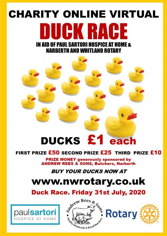 Online Virtual Duck Race Rotary District